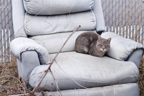 Recliner Disposal in South Bend